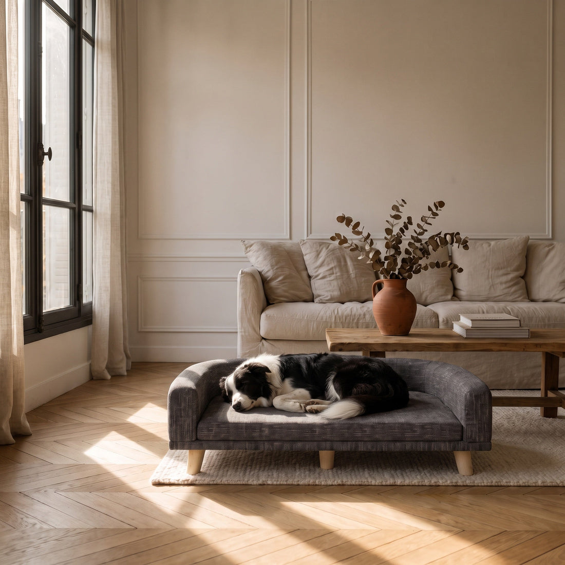 Un chien installé dans son panier après avoir tourné sur lui-même