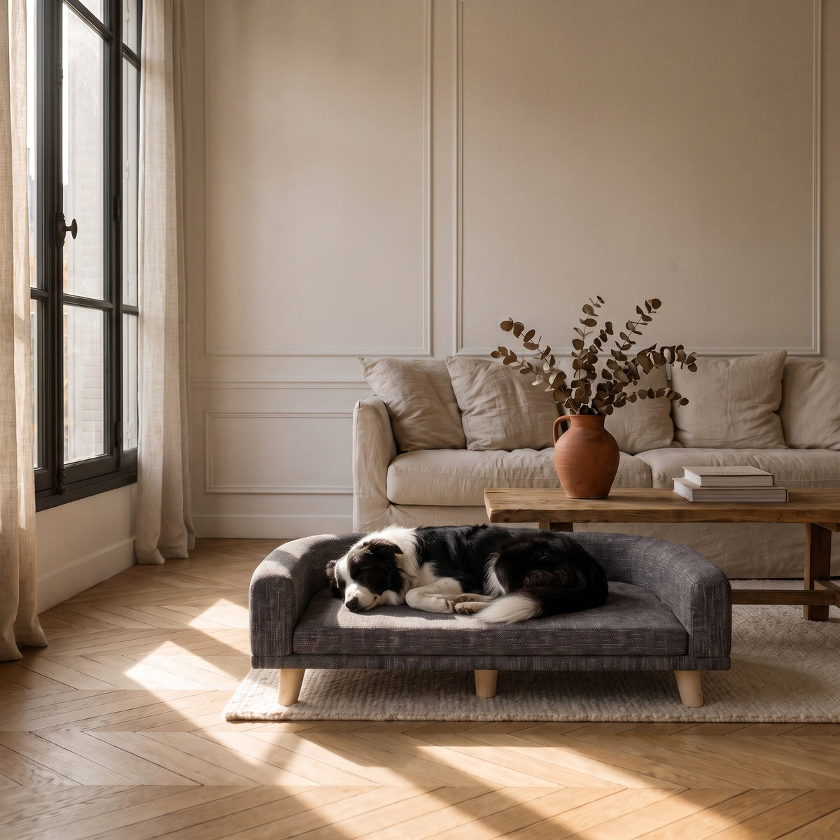 Un chien installé dans son panier après avoir tourné sur lui-même