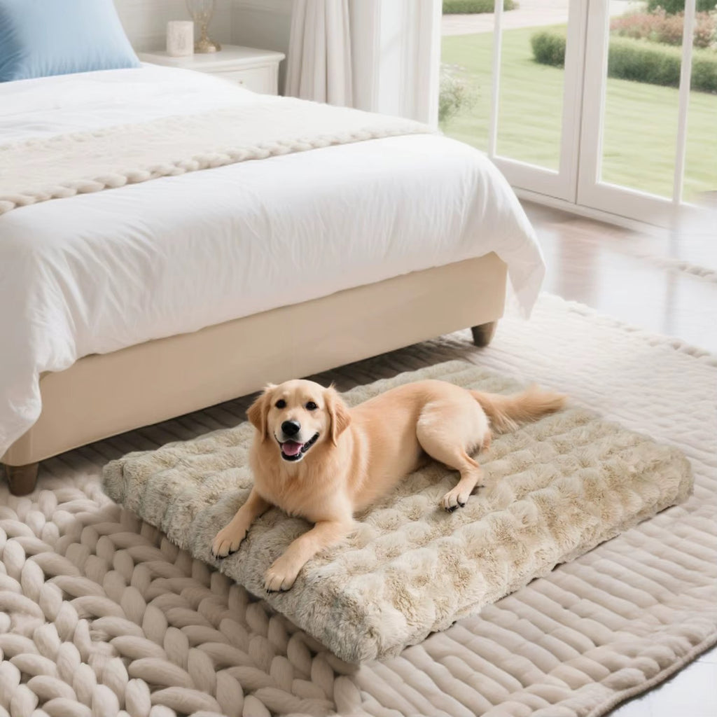 Matelas pour chien Cocon beige posé au pied d'un lit, golden retriever couché dessus