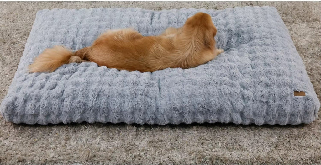 Le matelas Cocon gris clair, chien étalé de tout son long