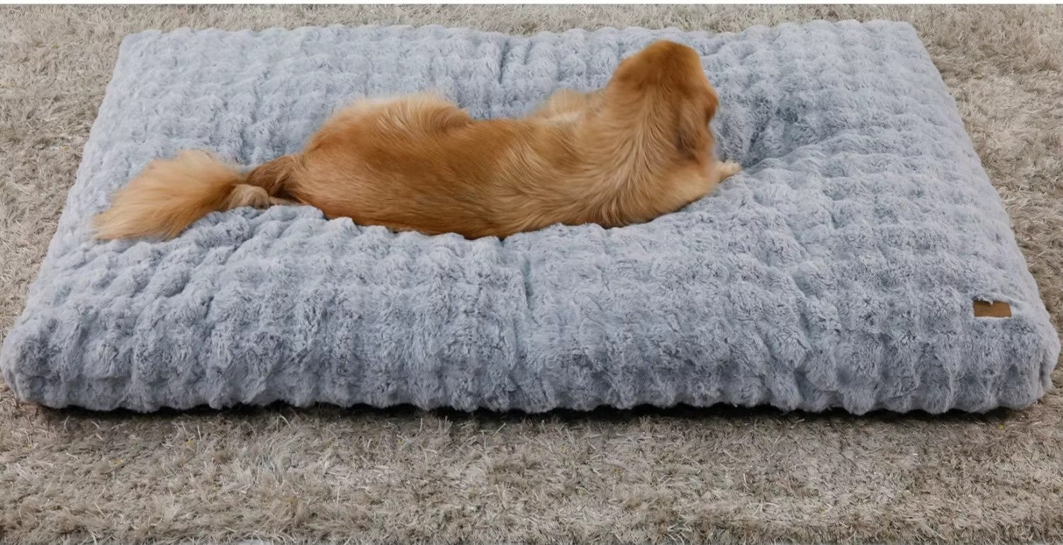 Le matelas Cocon gris clair, chien étalé de tout son long