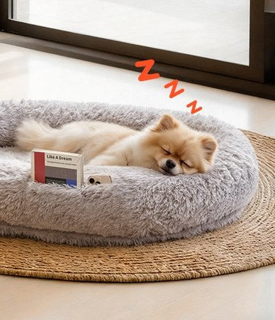 Chien endormi seul au centre du lit Grand Large