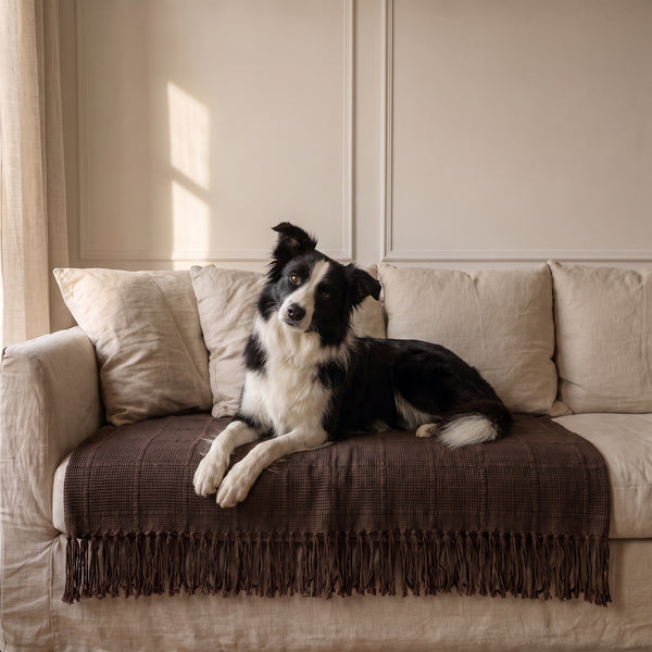 Couverture pour chien, maillée respirante